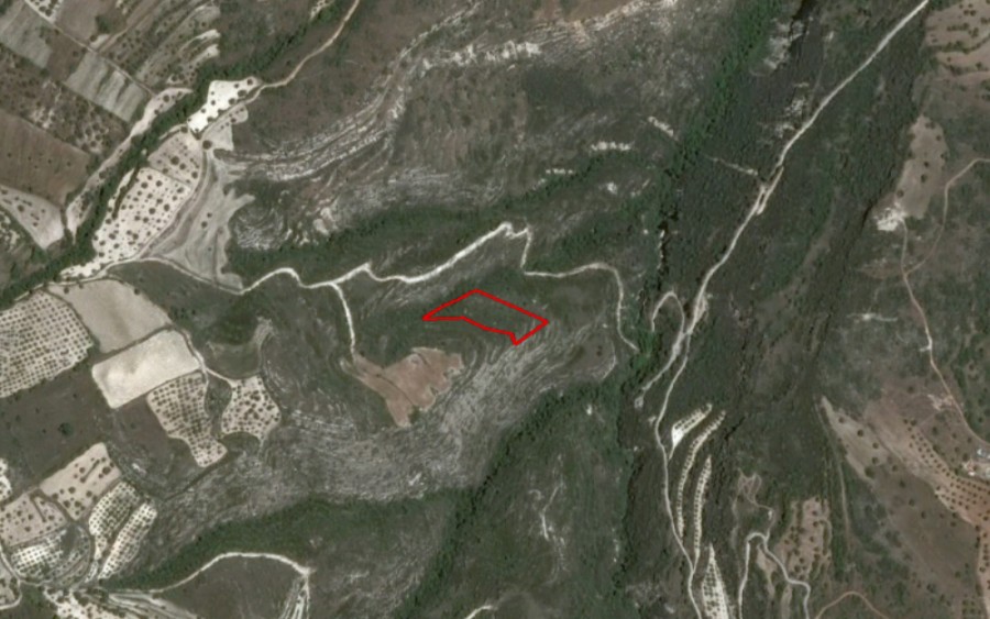 Kritou Tera, Paphos Agricultural Field For Sale | WW23943