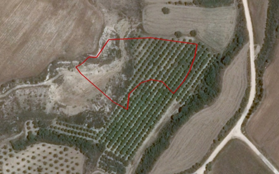 Polis Chrysochous Residential Field For Sale | WW23953