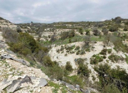 Koilani, Limassol Agricultural Field For Sale | WW24083