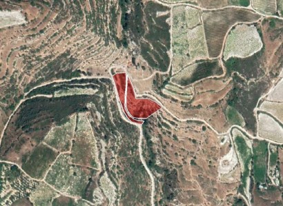 Koilani, Limassol Agricultural Field For Sale | WW24083