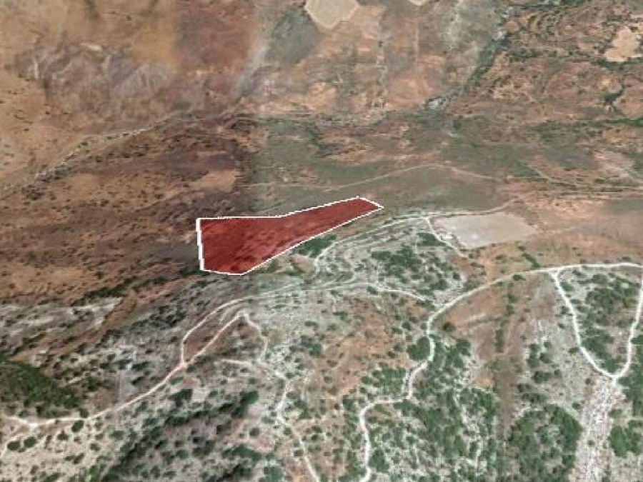 Field - Pentalia, Paphos