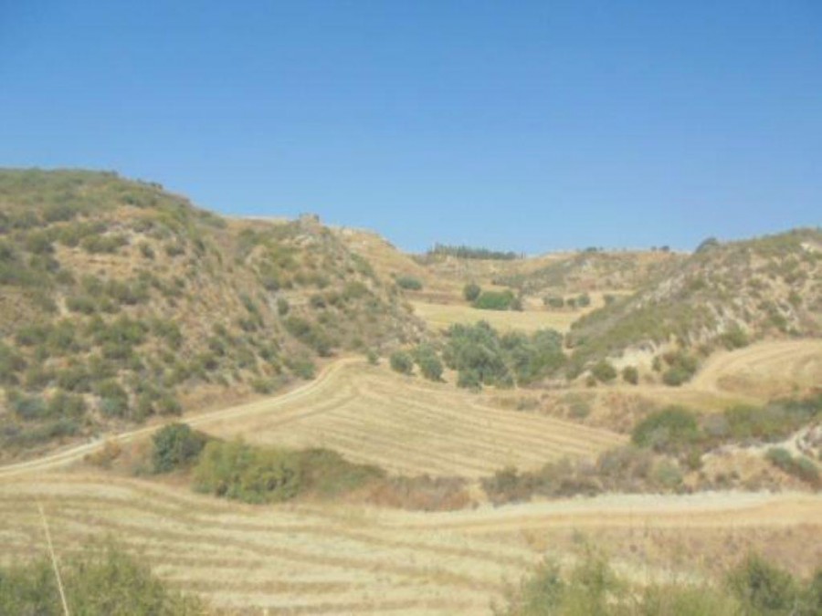 Steni, Paphos Agricultural Field For Sale | WW24120