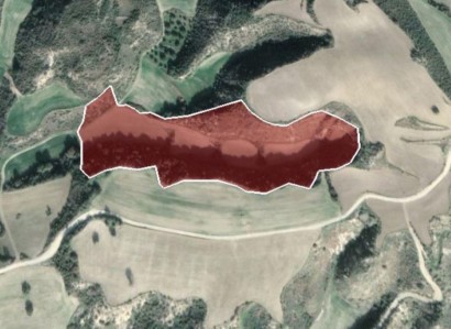 Steni, Paphos Agricultural Field For Sale | WW24120