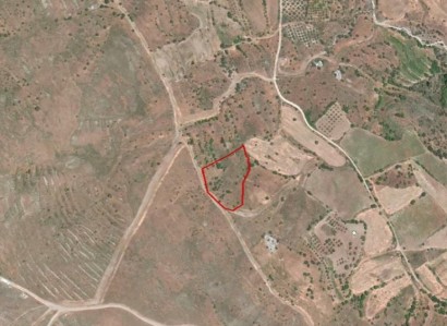 Galataria, Paphos Agricultural Field For Sale | WW24136
