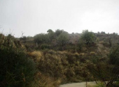 Letymvou, Paphos Agricultural Field For Sale | WW24146