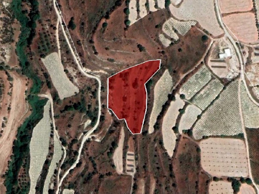 Field - Letymvou, Paphos