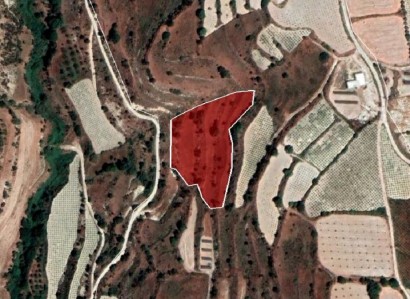 Letymvou, Paphos Agricultural Field For Sale | WW24146
