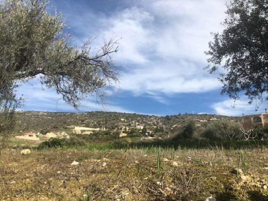 Peristerona, Paphos Agricultural Field For Sale | WW24162