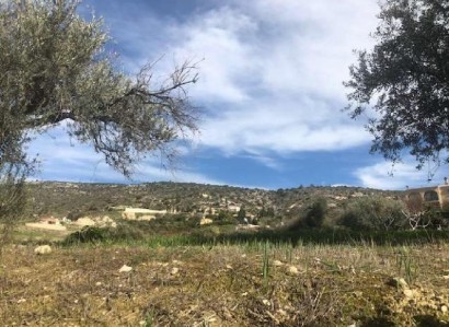 Peristerona, Paphos Agricultural Field For Sale | WW24162
