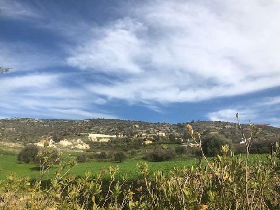 Field - Peristerona, Paphos