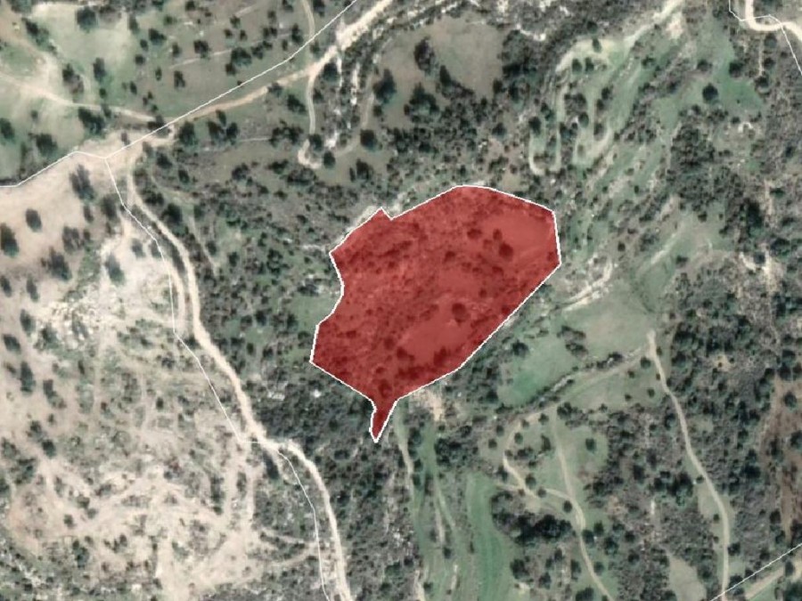Field - Peristerona, Paphos