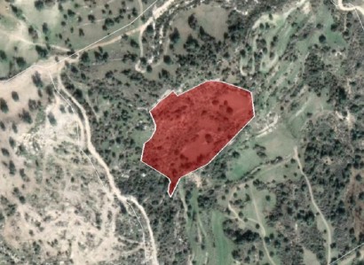 Peristerona, Paphos Agricultural Field For Sale | WW24162