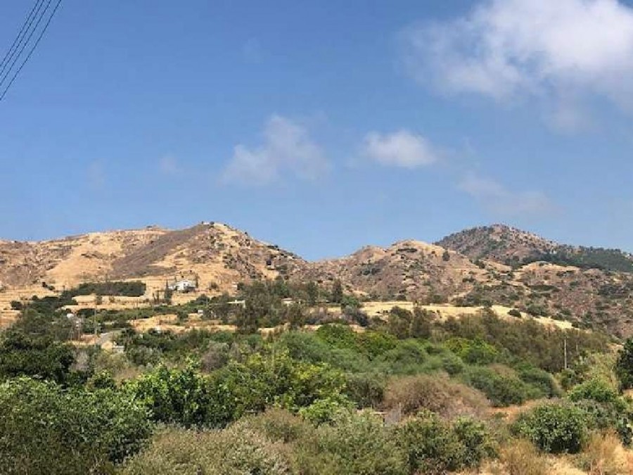Pomos, Paphos Agricultural Field For Sale | WW24171