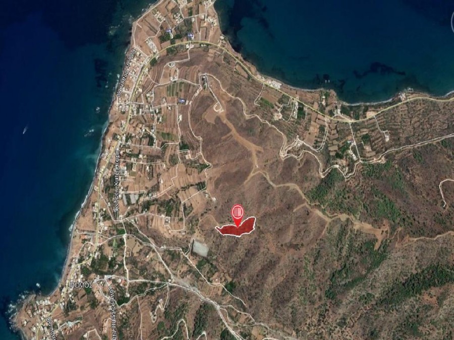 Field – Pomos, Paphos