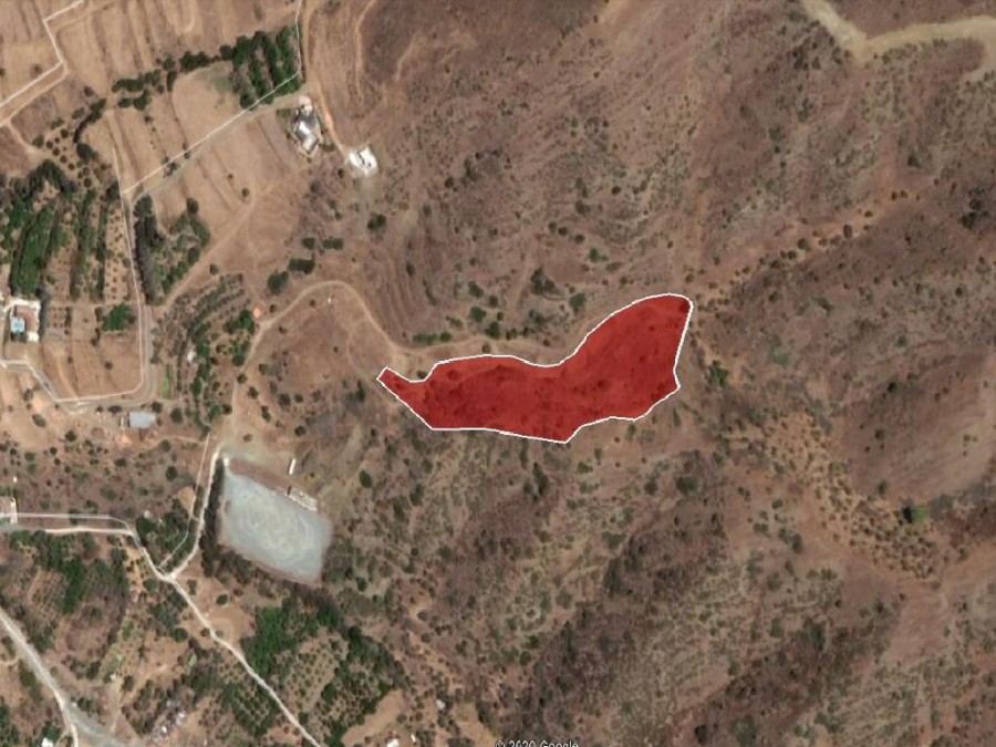 Field – Pomos, Paphos