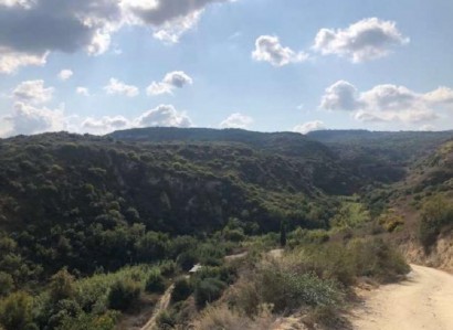 Kritou Tera, Paphos Agricultural Field For Sale | WW24266