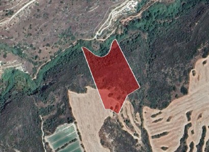 Kritou Tera, Paphos Agricultural Field For Sale | WW24266
