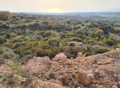Tremithousa, Paphos Residential Field For Sale | WW9345