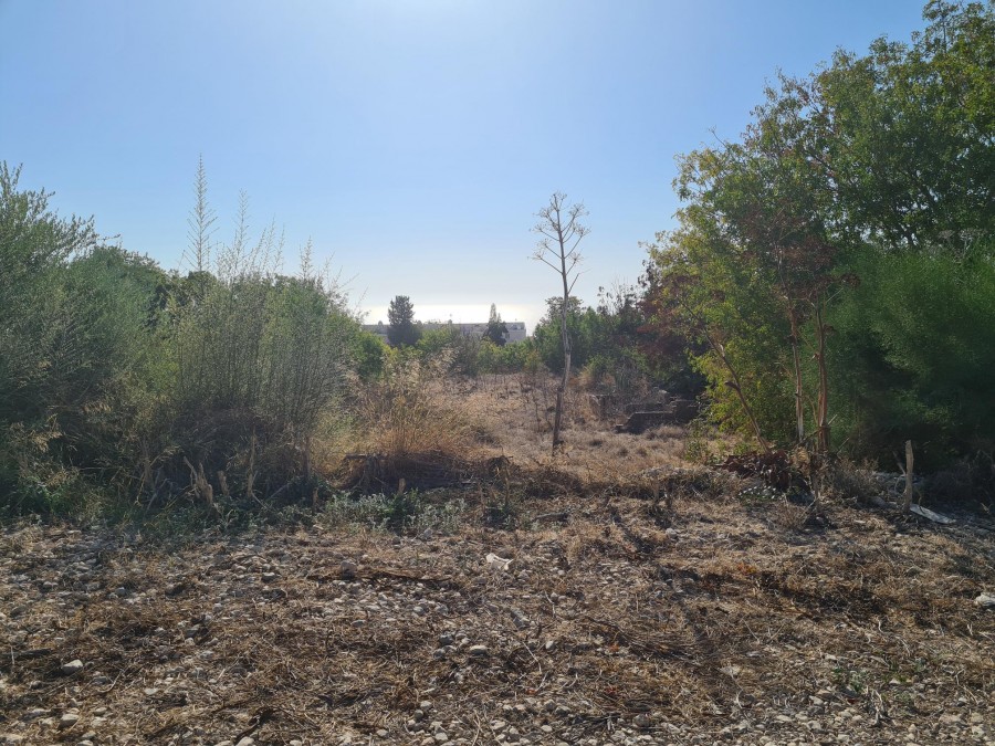 Tala, Paphos Residential Field For Sale | WW9344