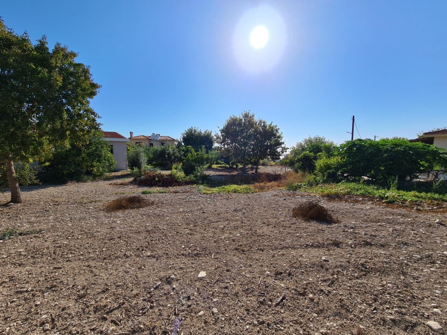 Residential Field For Sale  in  Tala