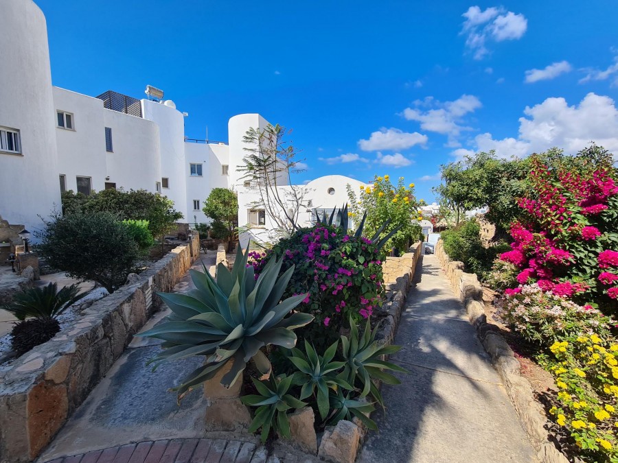 Detached Villa For Sale  in  Chlorakas