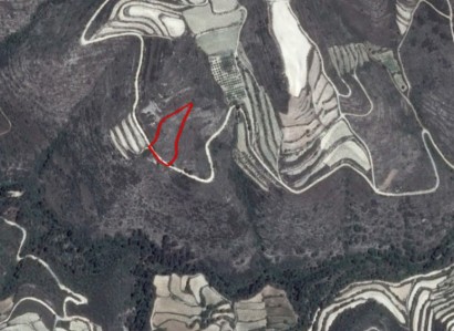 Koili, Paphos Agricultural Field For Sale | WW24408