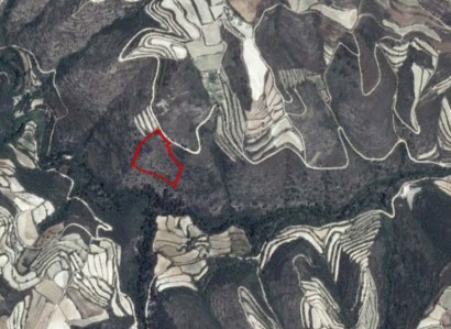 Koili, Paphos Agricultural Field For Sale | WW24410