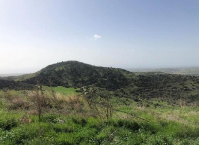Episkopi, Paphos Agricultural Field For Sale | WW24435