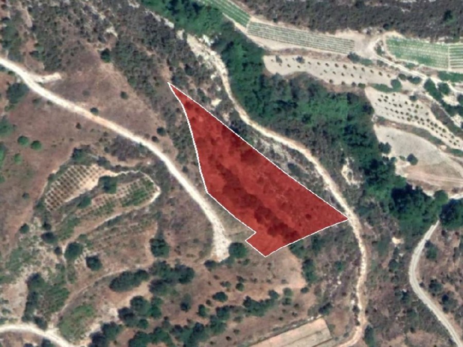 Field - Silikou, Limassol