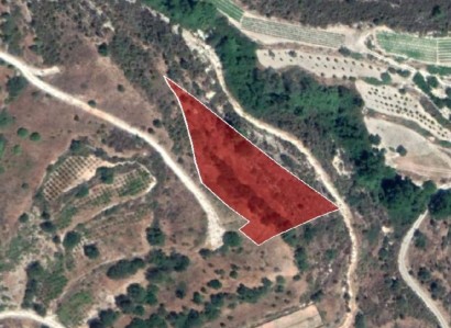 Silikou, Limassol Agricultural Field For Sale | WW24538