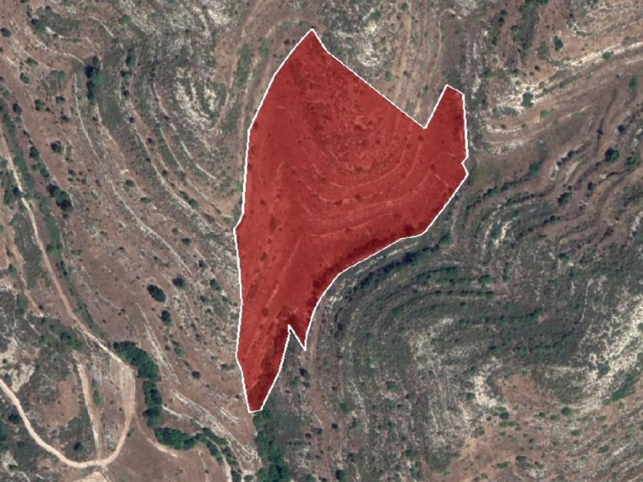 Field - Pachna, Limassol