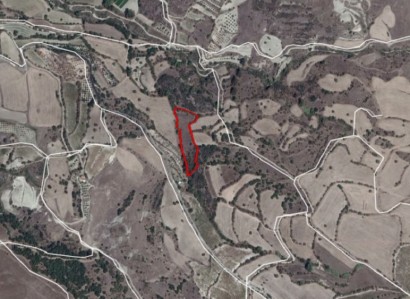 Kannaviou, Paphos Agricultural Field For Sale | WW24611