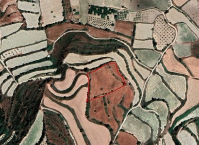Kallepeia, Paphos Agricultural Field For Sale | WW24623