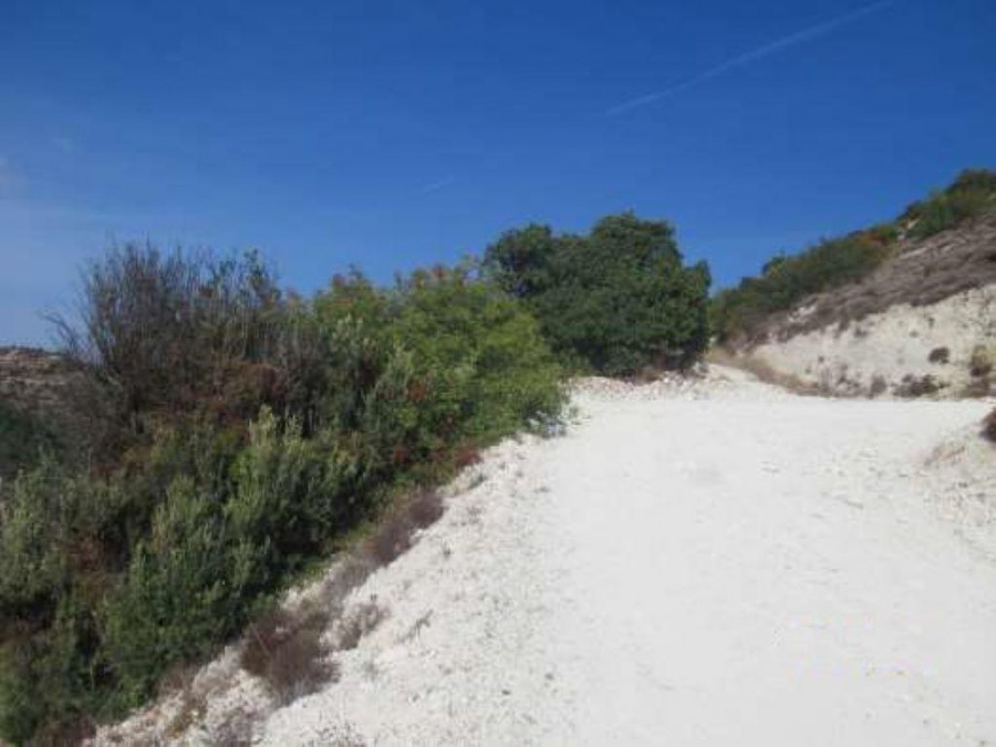Amargeti, Paphos Agricultural Field For Sale | WW24645