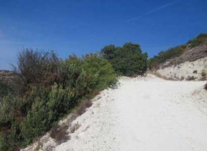 Amargeti, Paphos Agricultural Field For Sale | WW24645