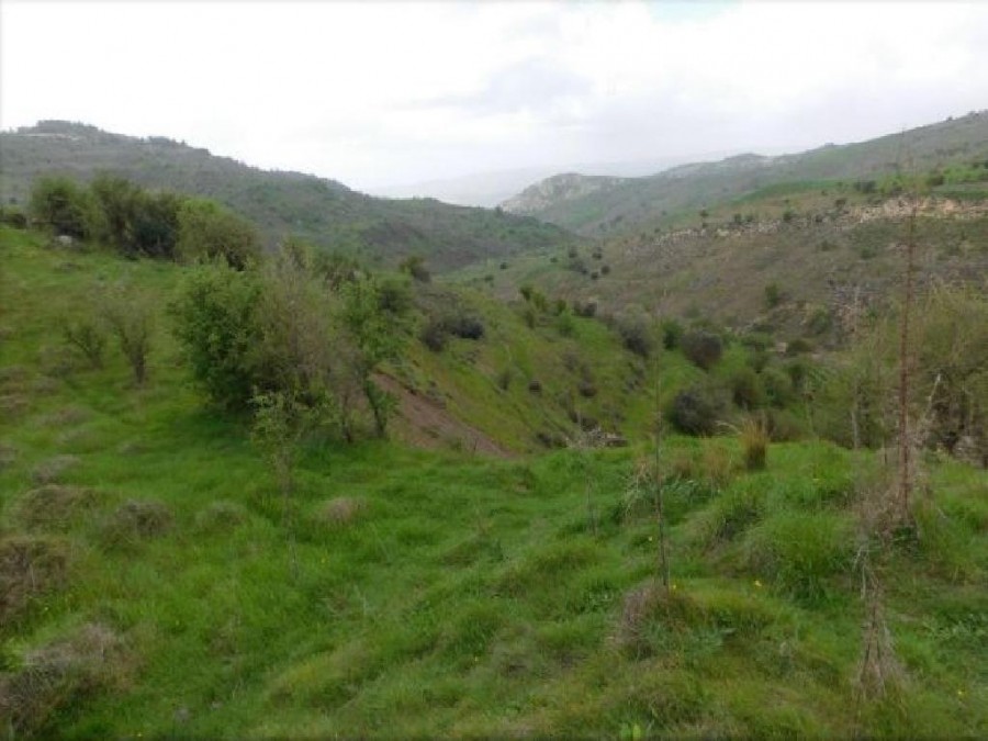 Pentalia, Paphos Agricultural Field For Sale | WW24649
