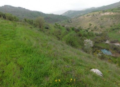 Pentalia, Paphos Agricultural Field For Sale | WW24649