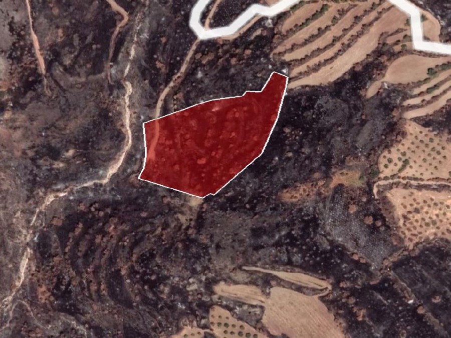 Field - Pentalia, Paphos