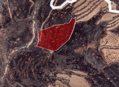 Pentalia, Paphos Agricultural Field For Sale | WW24649