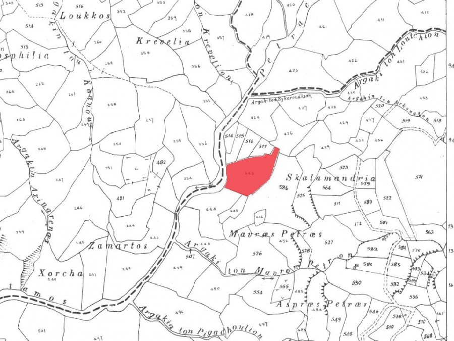Field - Pentalia, Paphos