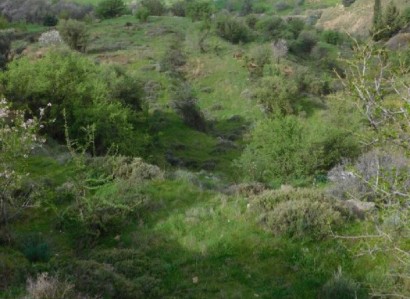 Pentalia, Paphos Agricultural Field For Sale | WW24650