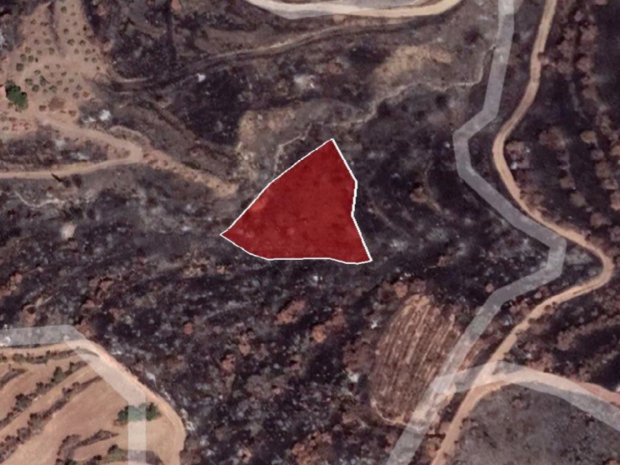 Field - Pentalia, Paphos