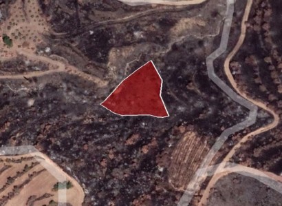 Pentalia, Paphos Agricultural Field For Sale | WW24650