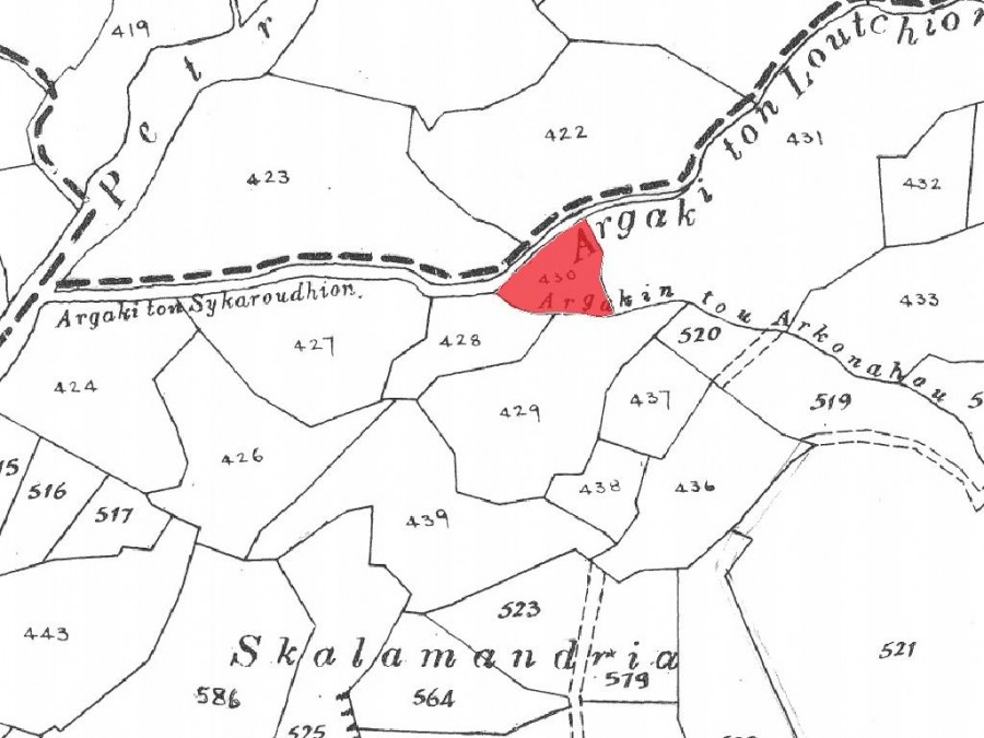 Field - Pentalia, Paphos