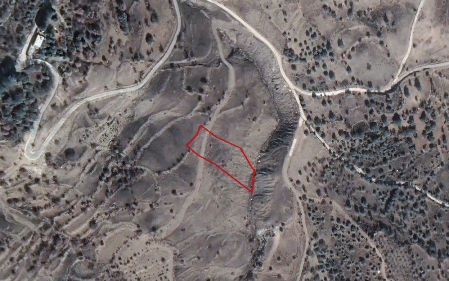 Pentalia, Paphos Agricultural Field For Sale | WW24687