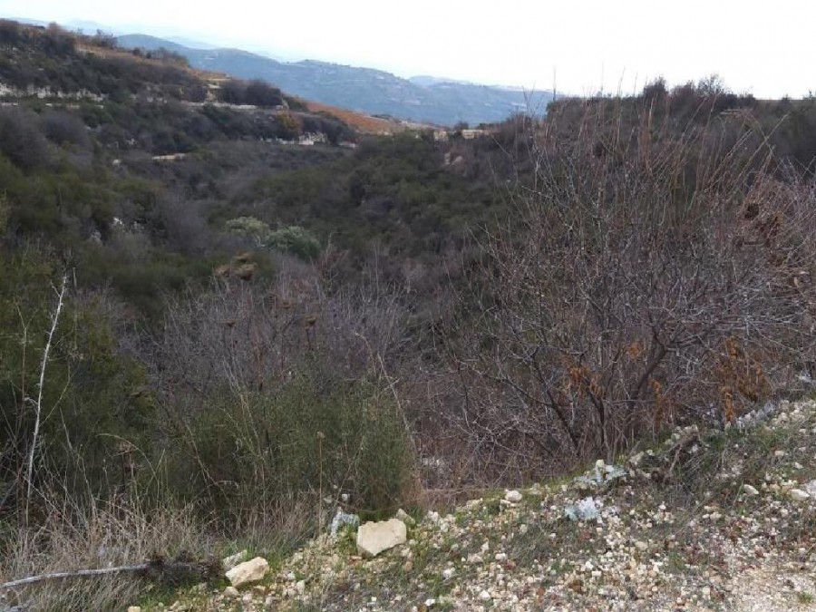 Koilani, Limassol Agricultural Field For Sale | WW24728