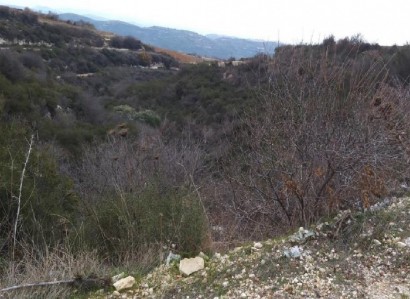 Koilani, Limassol Agricultural Field For Sale | WW24728