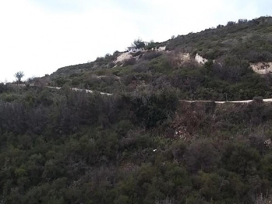 Field - Koilani, Limassol