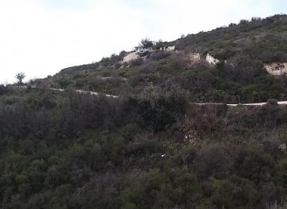 Koilani, Limassol Agricultural Field For Sale | WW24728
