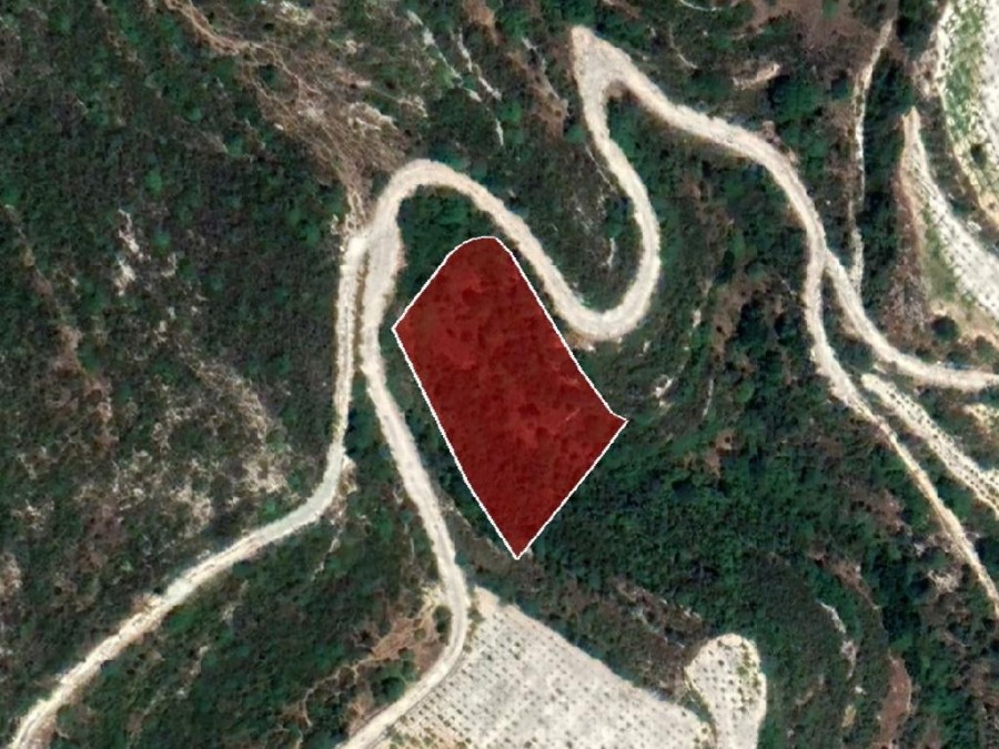 Field - Koilani, Limassol